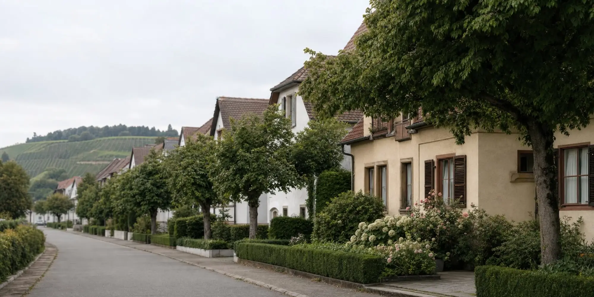 Ruhige Wohnstraße mit gepflegten Häusern und Vorgärten vor Weinbergen im Markgräflerland